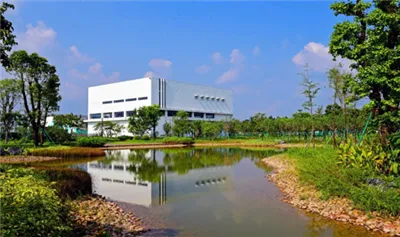 Guidati dalla strategia del 